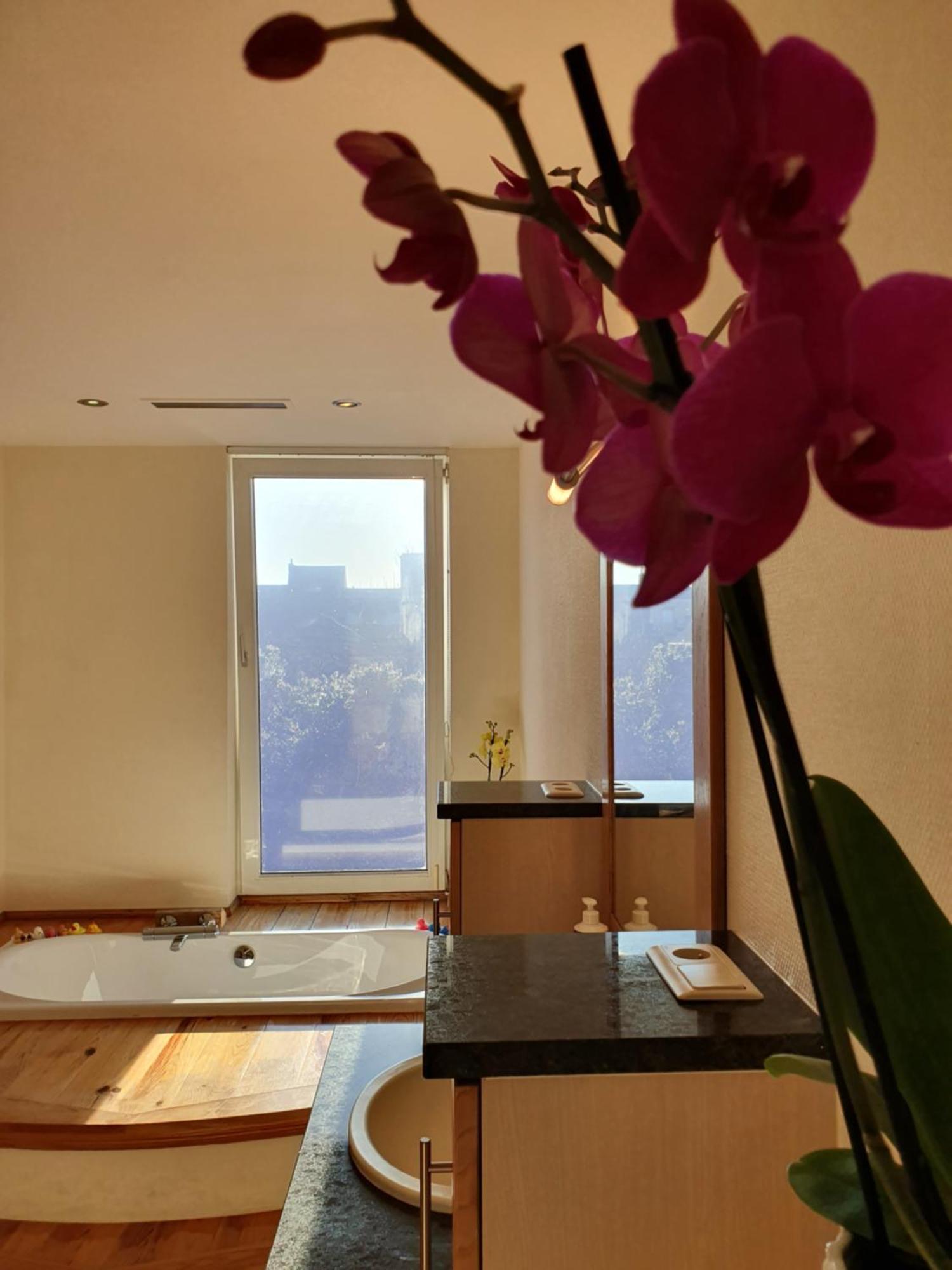 הוילה מידלקרק Huize La Passion Vacationhouse 10 Min Walk From The Sea מראה חיצוני תמונה
